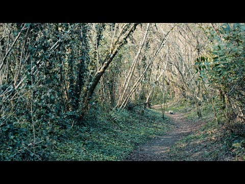 Il bracconaggio raccontato dal Generale di Brigata in riserva Isidoro Furlan