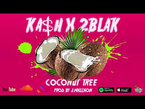 Ka$h - Coconut Tree(feat. 2blak) Official Visualizer
