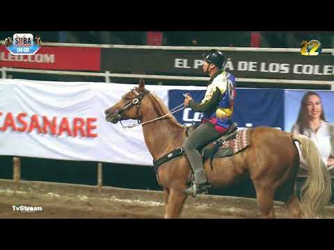 Jesús Yonency Cuevas Amaya – Trinidad, Casanare.Club: Los Caballos - Caballo: Sueño de Amor.