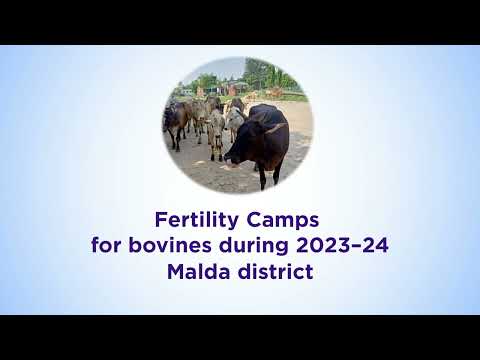 Fertility Camps for bovines during 2023-24, Malda district