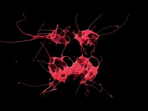 Dan McKie & Lloyd Chapman - S.I.T.H. (Original Mix)