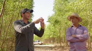 Rodada Técnica de Eucalipto