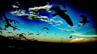 Driftwood - Freeloader (Lasgo Remix)