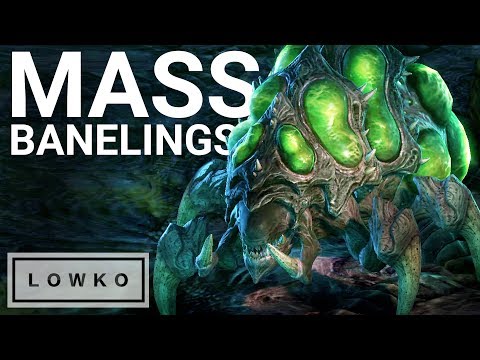 StarCraft 2: MASSING Banelings!