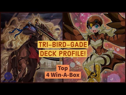 *UNDEFEATED* Tribrigade Birds Win-A-Box Deck Profile! NEW FORMAT!