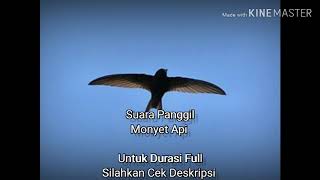 Download lagu Monyet Api (Sp) mp3 Download lagu Monyet Api (Sp) mp3