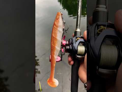 🔥 Hechtkiller-Setup! Nays VNM Shad & Metanium | Raubfisch-Action 🎣🐟 #fishing #reels