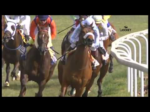 3 Carrera, premio Canal Sur, 21 de febrero 2016 - Gran Hipódromo de Andalucía (Dos Hermanas)