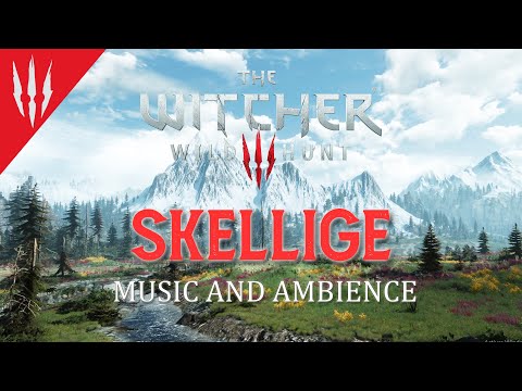 The Witcher 3 | A Day in Skellige | Music & Ambience