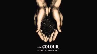 The Colour - Bearded Lady