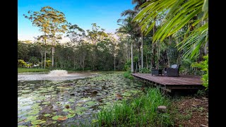 30 Sawreys Road, Forest Glen