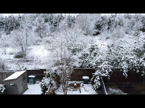 snowfall 2020 birmingham | Ris kitchen| finally snow 2020| snow video uk