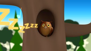 Dans la Forêt Lointaine