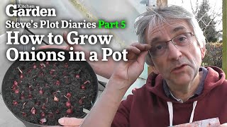 How to Grow Onions in a Pot | Steve
