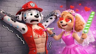 Download lagu ¡MARSHALL tiene un club de fans loco! - ¿Podrá escapar MARSHALL? - PAw PaTrol en Español mp3