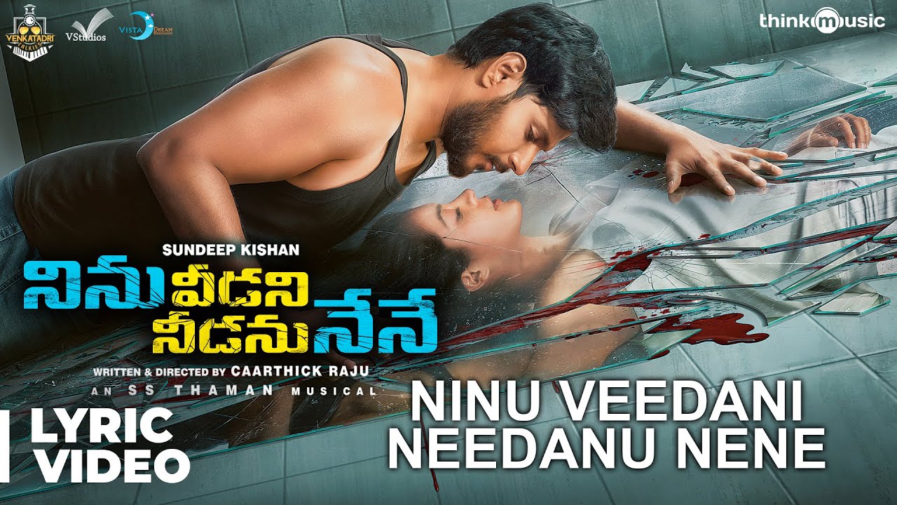 Ninu Veedani Needanu Nene Lyrics  | Ninu Veedani Needanu Nene | Anya Singh | S. Thaman | Yazin Nizar