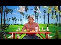 The Habit Burger Seagulls