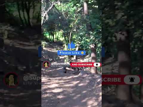 Santiago, CHILE ☀️ Santuario de la Naturaleza | Verano 2026 🚣🏻‍♀️