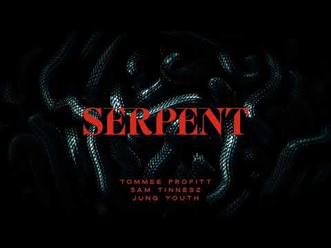 SERPENT - Tommee Profitt x Sam Tinnesz x Jung Youth