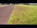 Discover the Making of Australian Sugar (Video)