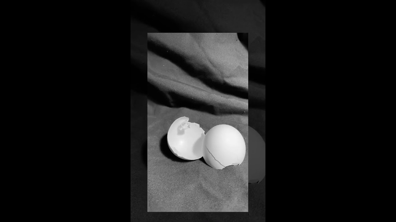 Egg Shell Still Life