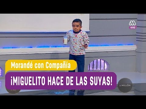 ¡Miguelito hace de las suyas! - Morandé con Compañía 2018