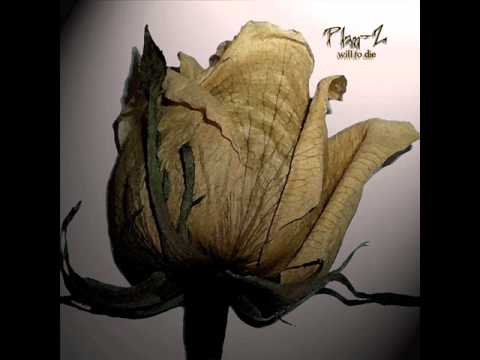 Plan-Z "Sealing My Coffin Shut"
