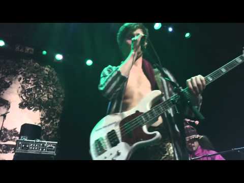 Tarentatec - Dancing Fool