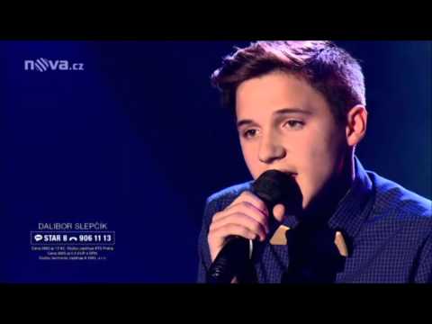 Dalibor Slepčík - SuperStar 2015 - Karel Gott - Když Jsem Já Byl Tenkrát Kluk