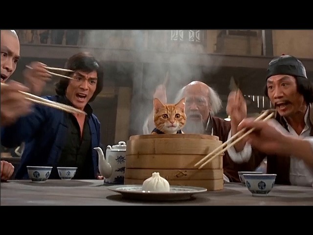 Vídeo relacionado con Kung Fu Cat Hanbo Eskrima Kungfu Kali Kitten Artes Marciales Sudadera con Capucha