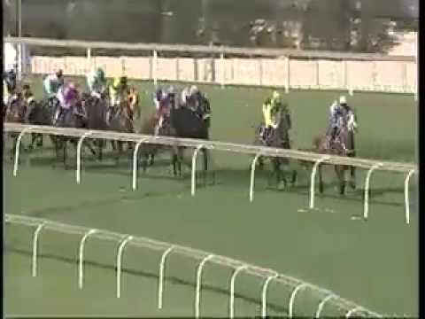 Gr2 INVESTEC DINGAANS 2014- UNPARALLELED