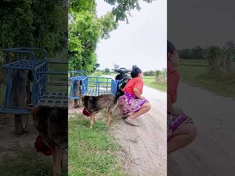 เอาไปหมดเลย