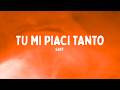 Sayf - TU MI PIACI TANTO (Testo/Lyrics)