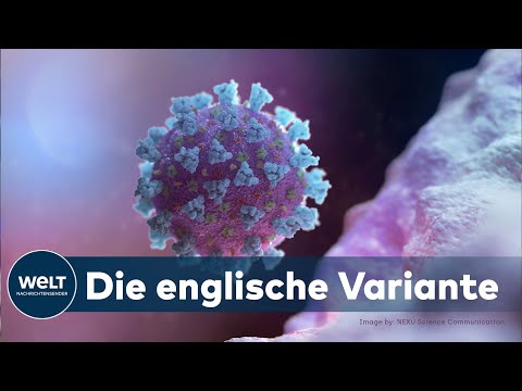 WELT INTERVIEW: Timo Ulrichs - Eigentliche Gefahr ist die schnelle Ausbreitung der Corona-Mutation