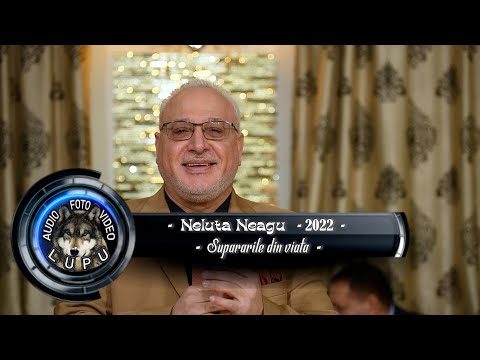 Neluta Neagu - Supararile din viata