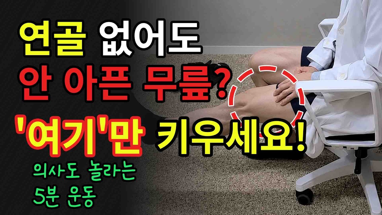 무릎 통증, 연골이 닳아도 수술 안 하는 이유｜'이 근육'이 다릅니다