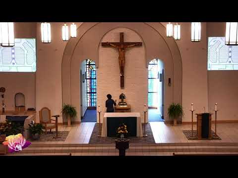 33rd Sunday in Ordinary Time - 8am