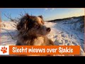 Floris neemt afscheid van Sjakie | DierenpraatTV