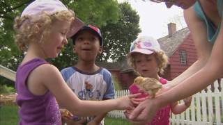 Urban, Farming, Farm, Family Farm, Mushrooms - America's Heartland