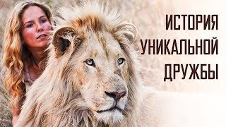 "Индустрия кино" про семейный фильм "Девочка Миа и белый лев"