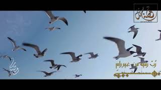 صورة قصة مثل- الحلقة (18) رُبَّ رمية من غير رام