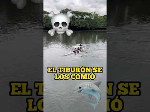 THE SHARK ATE THEM😨 #spiderman