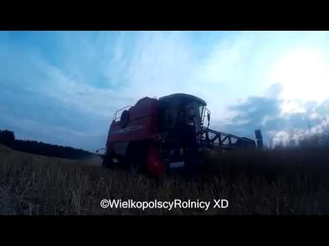 Rzepak 2016 |Case & Massey Ferguson| HIT