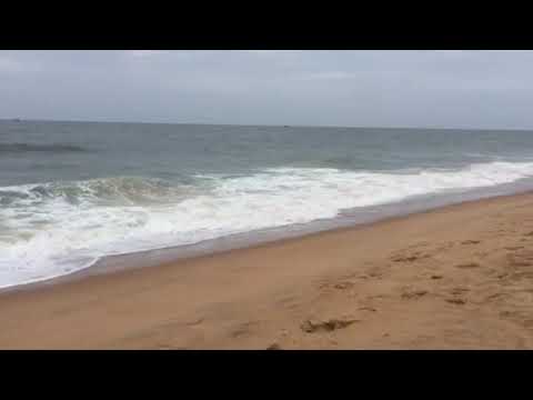 Shrikar shrivar Goa hotel royal orchid