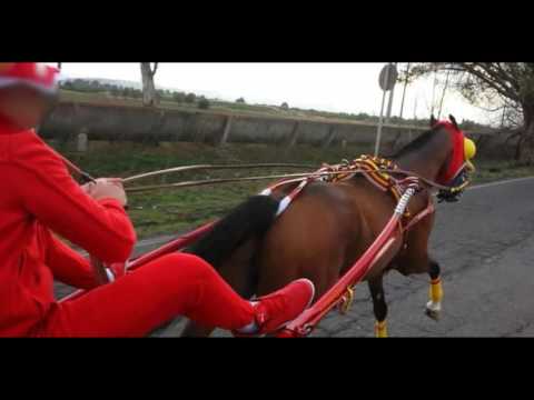 Michele Magliocco - Ira Funesta [Editato da Nick U' Catanisi]