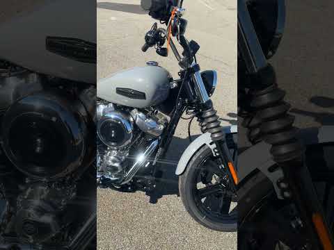 Harley-Davidson® Street Bob® 2026 FXBB 34606369 DRK BILIARD GRY