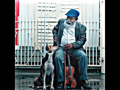 ❤️🫂💯 #shorts #lifelessons #bematured #lifequotes #emotional #humanity #respect #dog #support #bekind