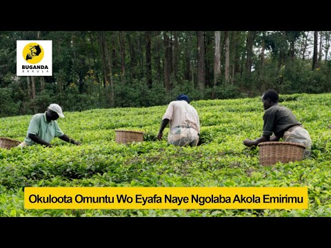 Okuloota Omuntu Wo Eyafa Naye Ngolaba Akola Emirimu - Ebirooto Namakulu Gaabyo  #Shorts