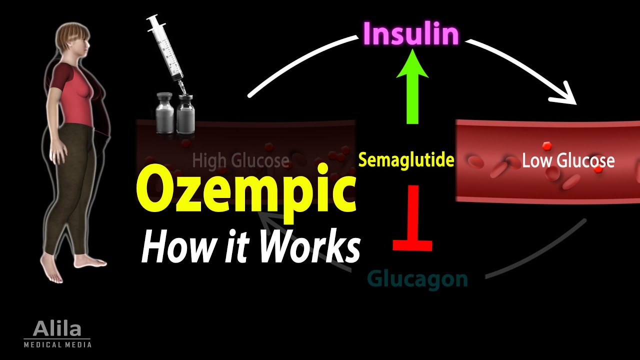 Semaglutide (Ozempic, Wegovy, Rybelsus) — Mechanisms of Action and Pharmacology