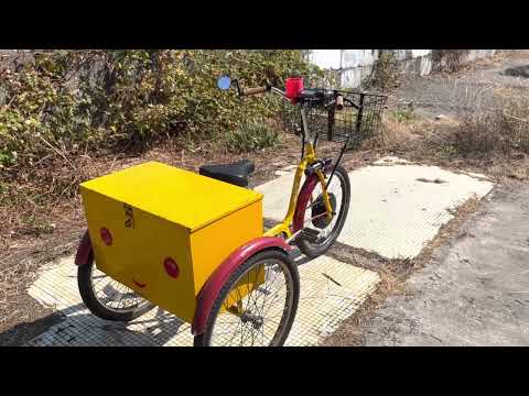 Electric Industrial Trike Conversion, 48v 1500 watts by Trailmate